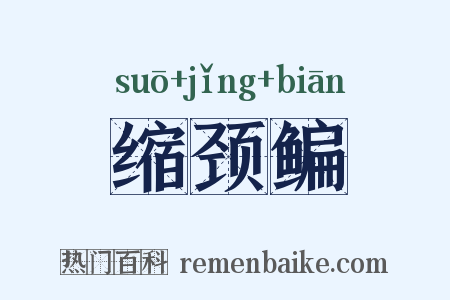 缩颈鳊是什么意思的图片